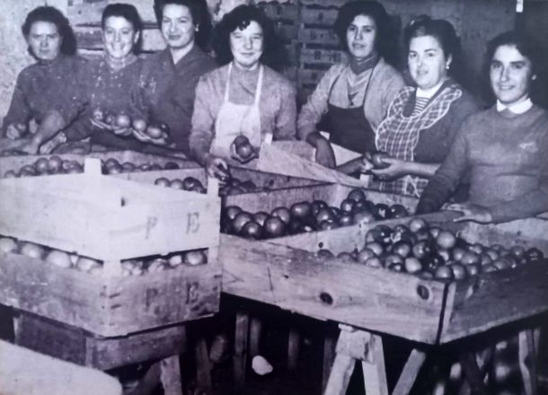 Osteria trattoria a Cisano sul Neva DA PESCIUNETTU